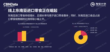 199it 洞悉中國互聯網市場的權威數據資訊中心與專業處理服務